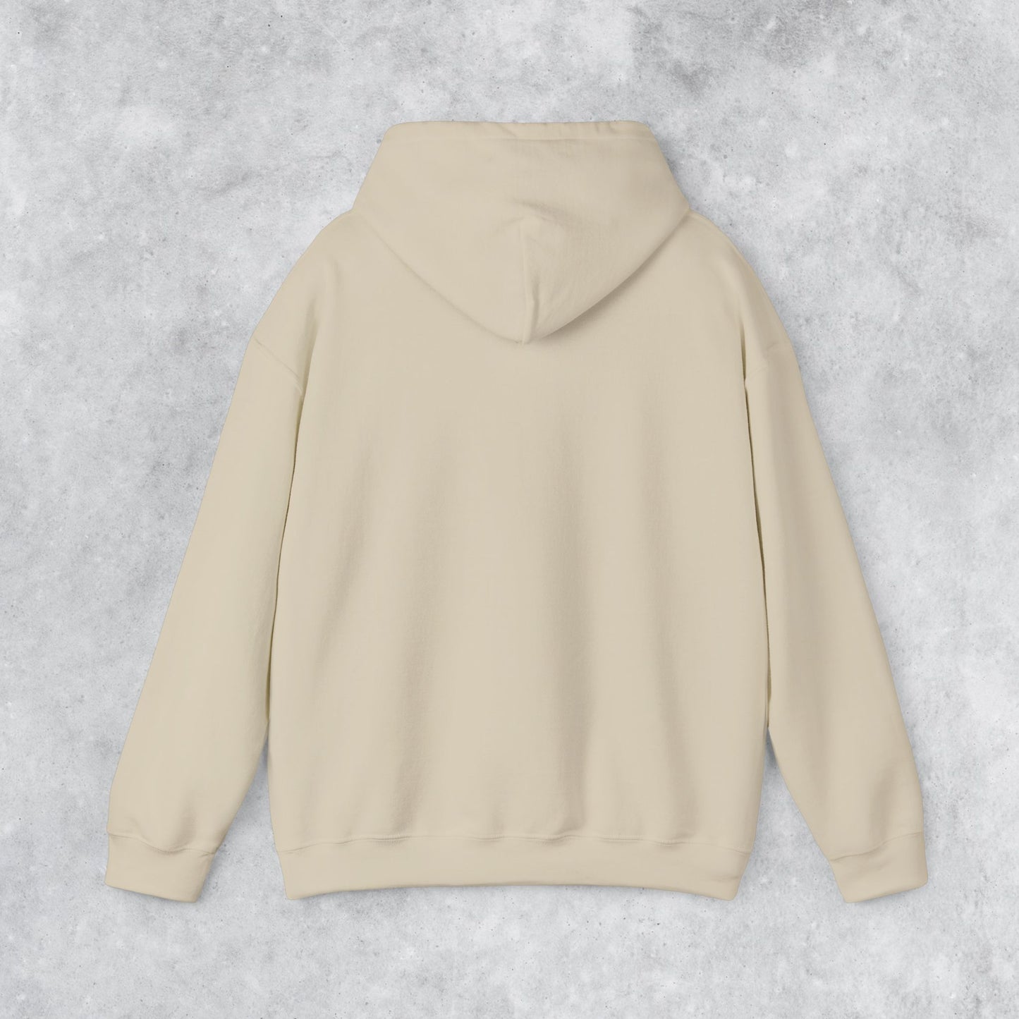 Unisex Hoodie: No Kids No Regrets