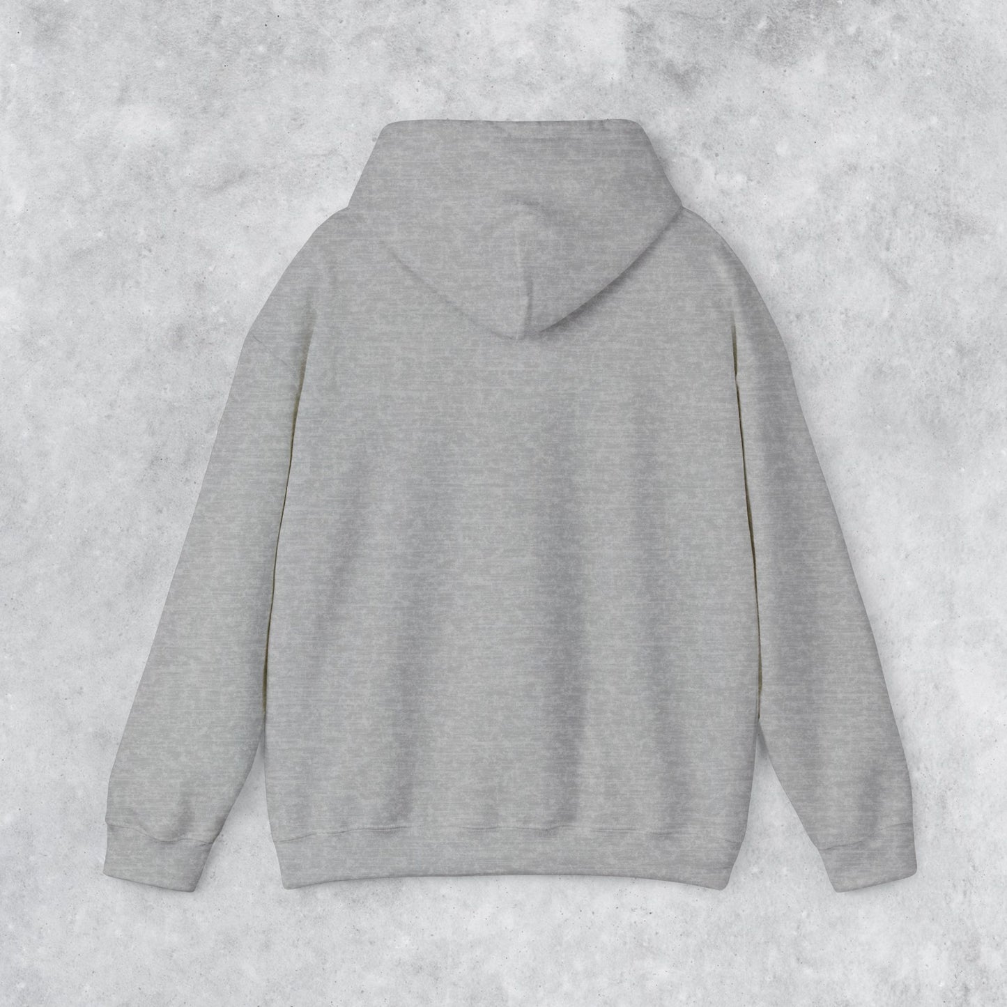 Unisex Hoodie: No Kids No Regrets