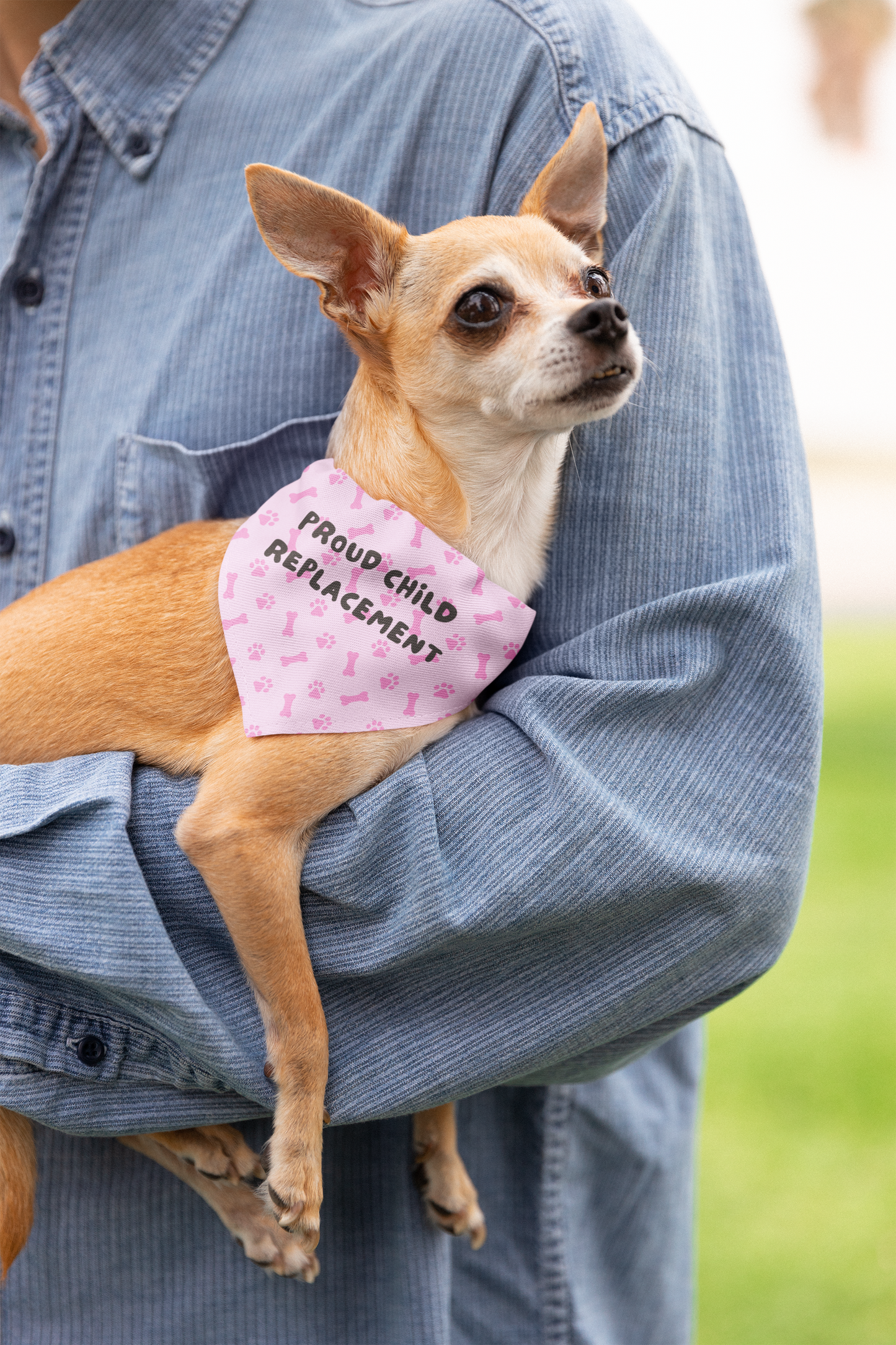 Clip-on Pet Bandana: Proud Child Replacement (Girl Edition)