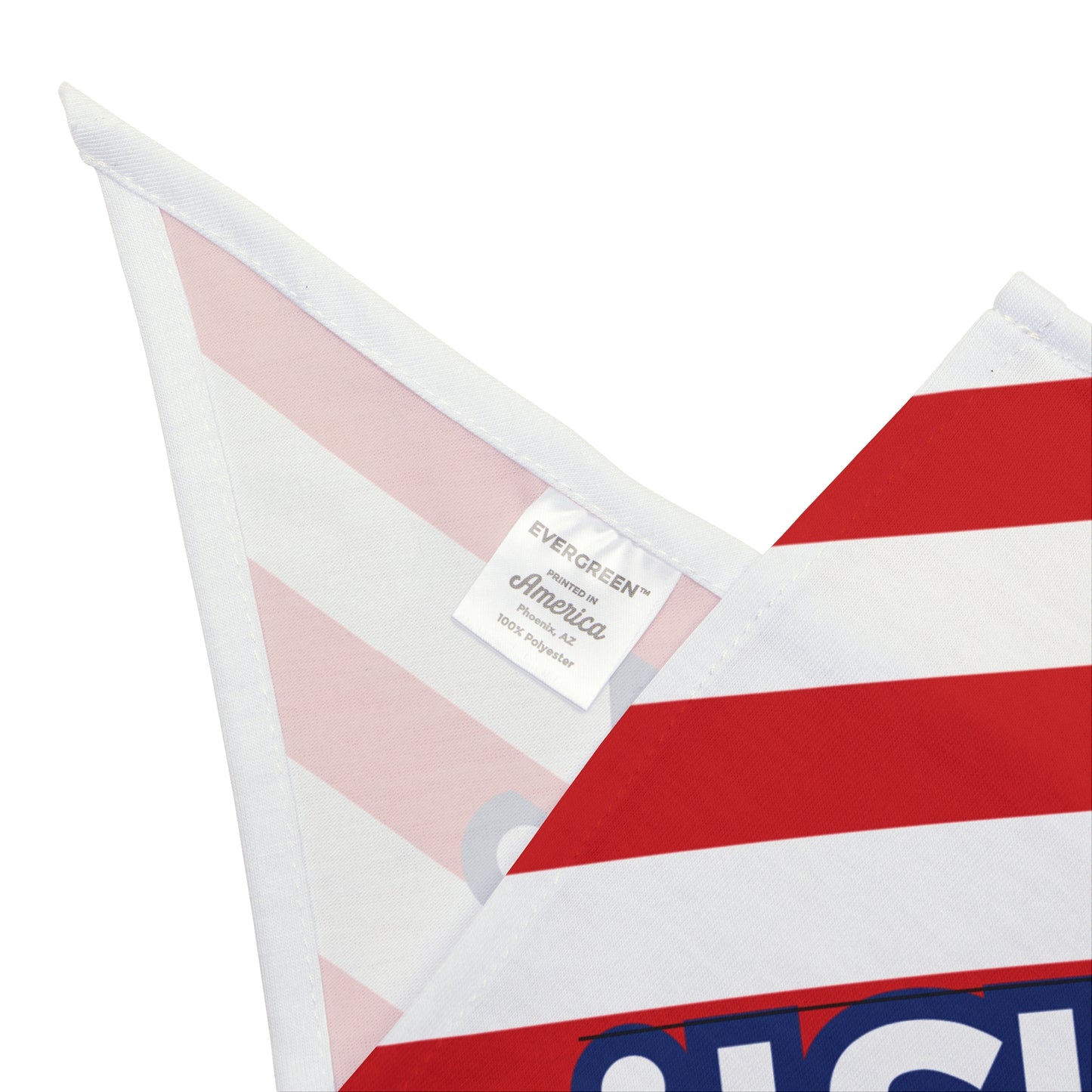 Feminist Dog Bandana: Sit. Stay. Resist