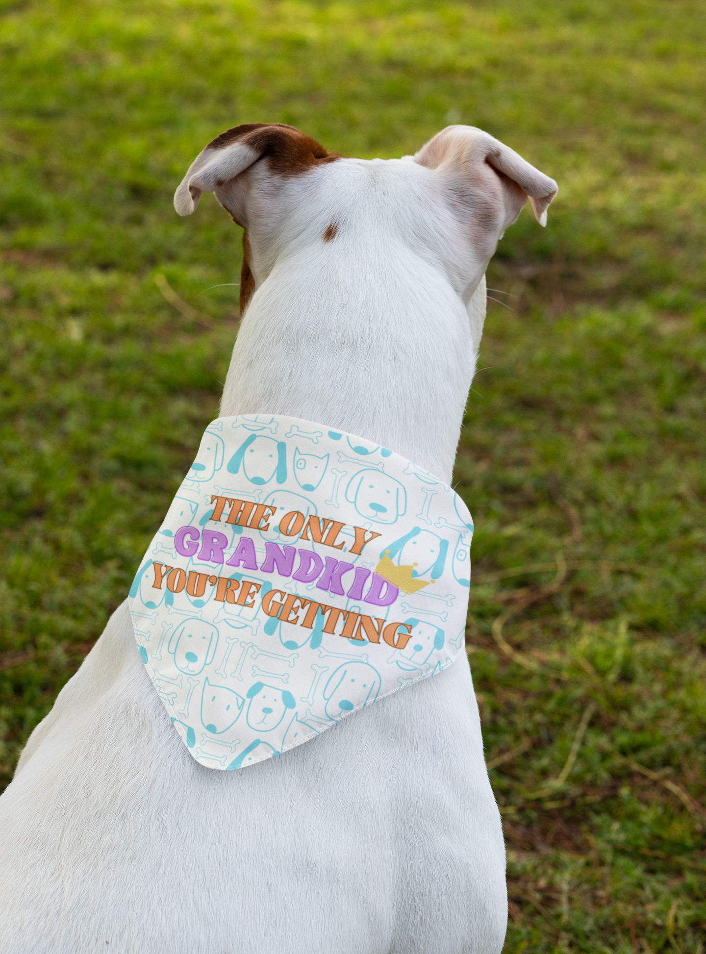 Funny Pet Bandana: The Only Grandkid You're Getting