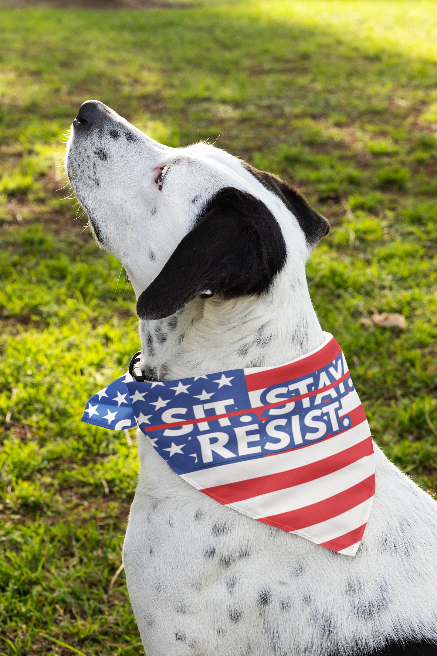 Feminist Dog Bandana: Sit. Stay. Resist