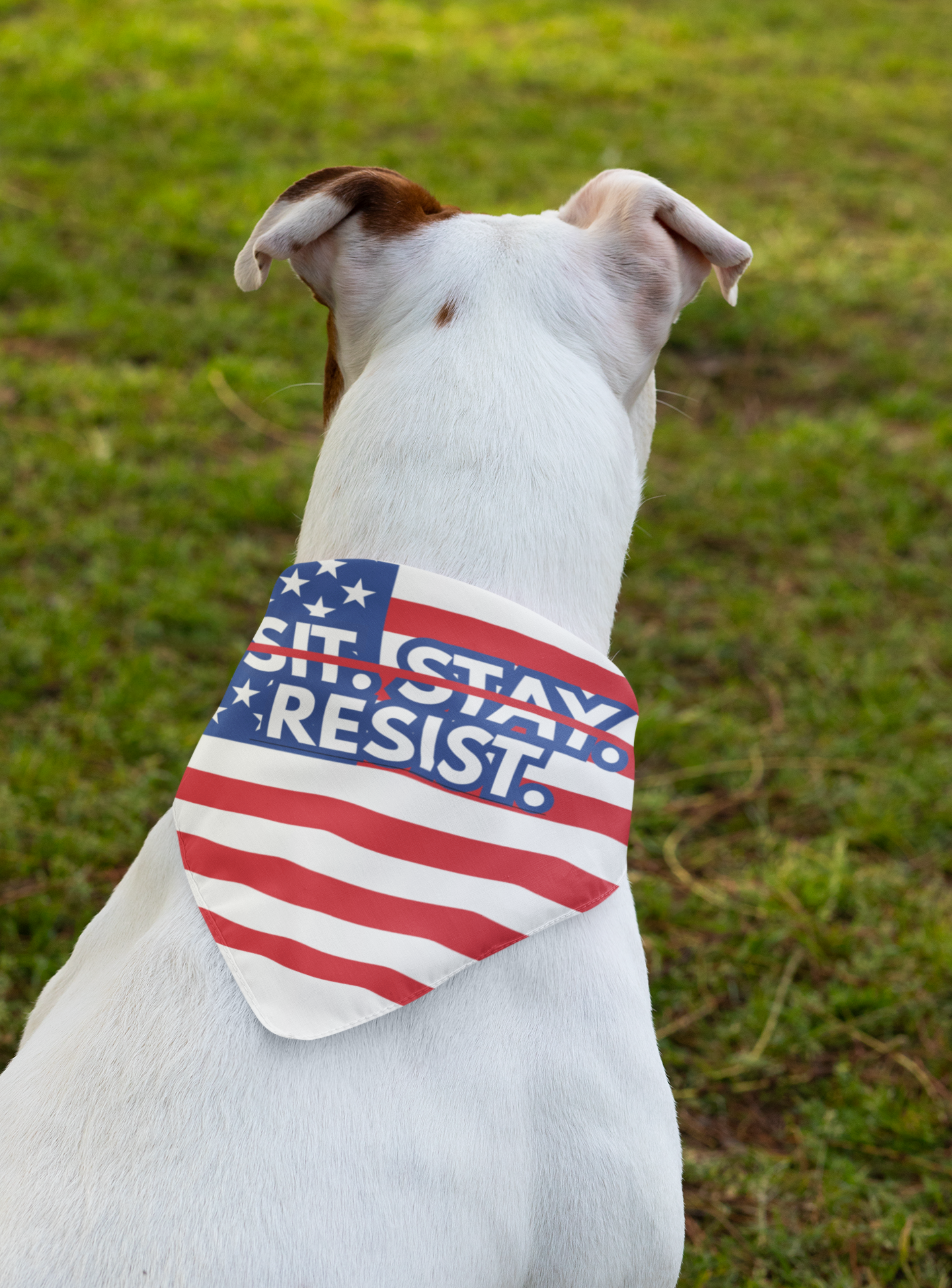 Feminist Dog Bandana: Sit. Stay. Resist
