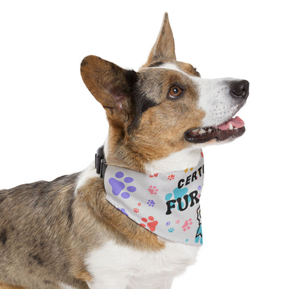 Pet Bandana Collar: Certified Fur-Baby (Gray)